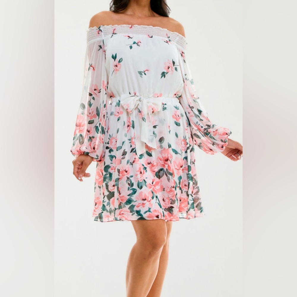 Floral Womens Long Sleeve Floral Fit + Flare Dress